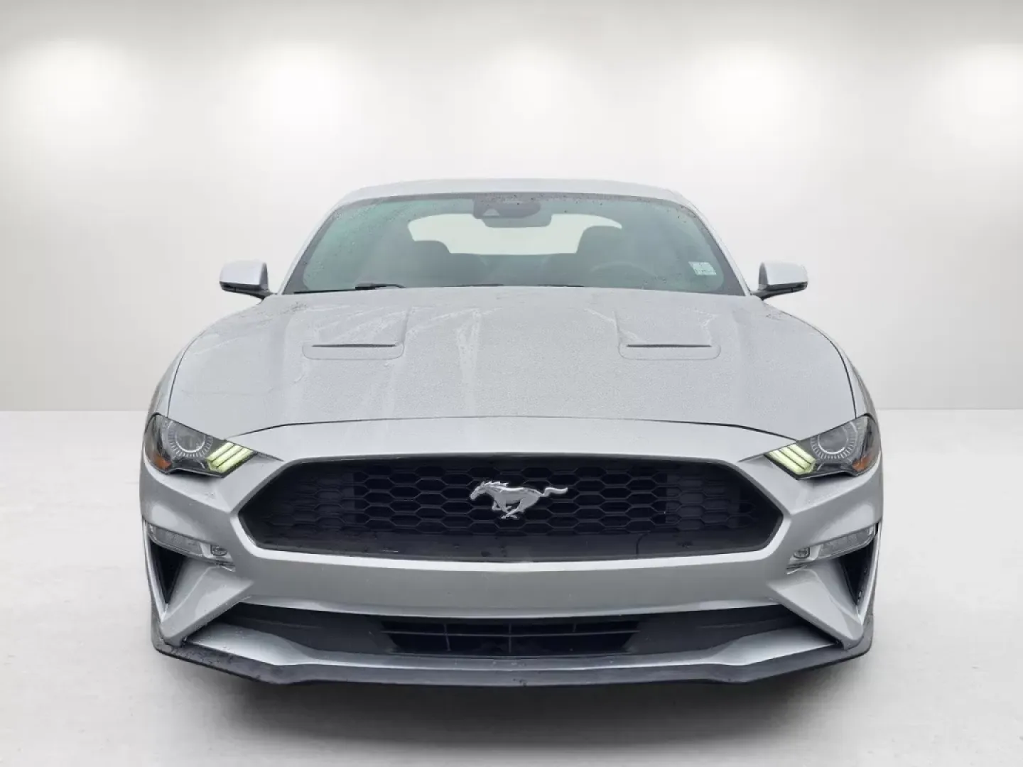 2019 Ford Mustang EcoBoost Premium (1FA6P8TH5K5) with an Other engine, located at 7000 Northlake Connector, Columbus, GA, 31904, (706) 987-8085, 32.524975, -84.978134 - 2019 Ford Mustang EcoBoost Premium - Photo#1