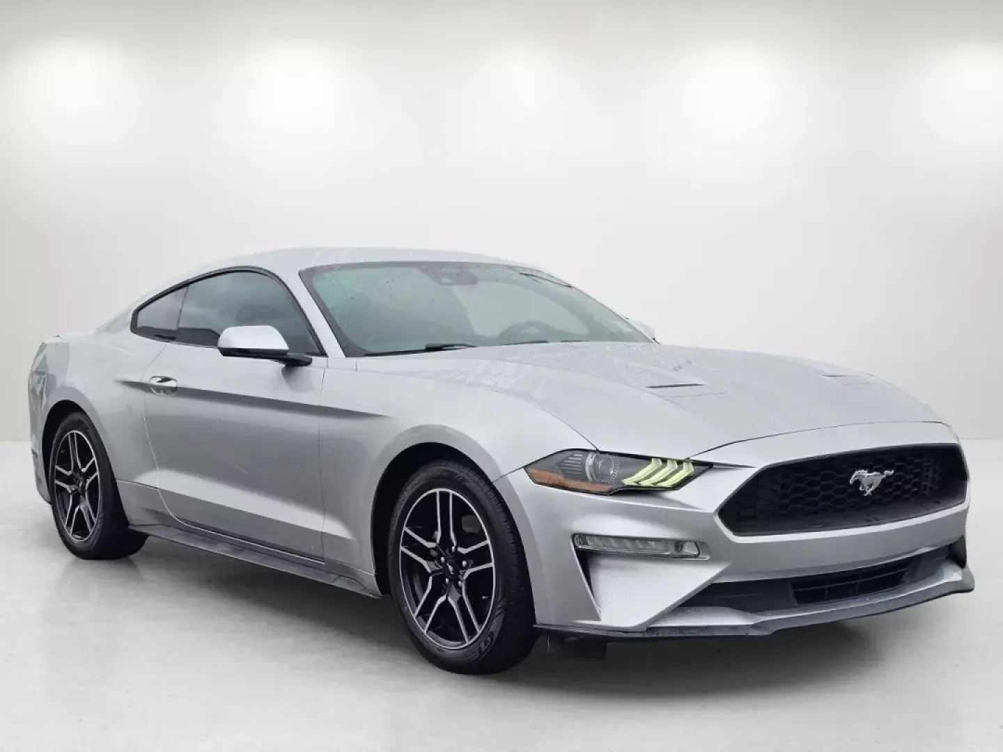 2019 Ford Mustang EcoBoost Premium (1FA6P8TH5K5) with an Other engine, located at 7000 Northlake Connector, Columbus, GA, 31904, (706) 987-8085, 32.524975, -84.978134 - 2019 Ford Mustang EcoBoost Premium - Photo#2