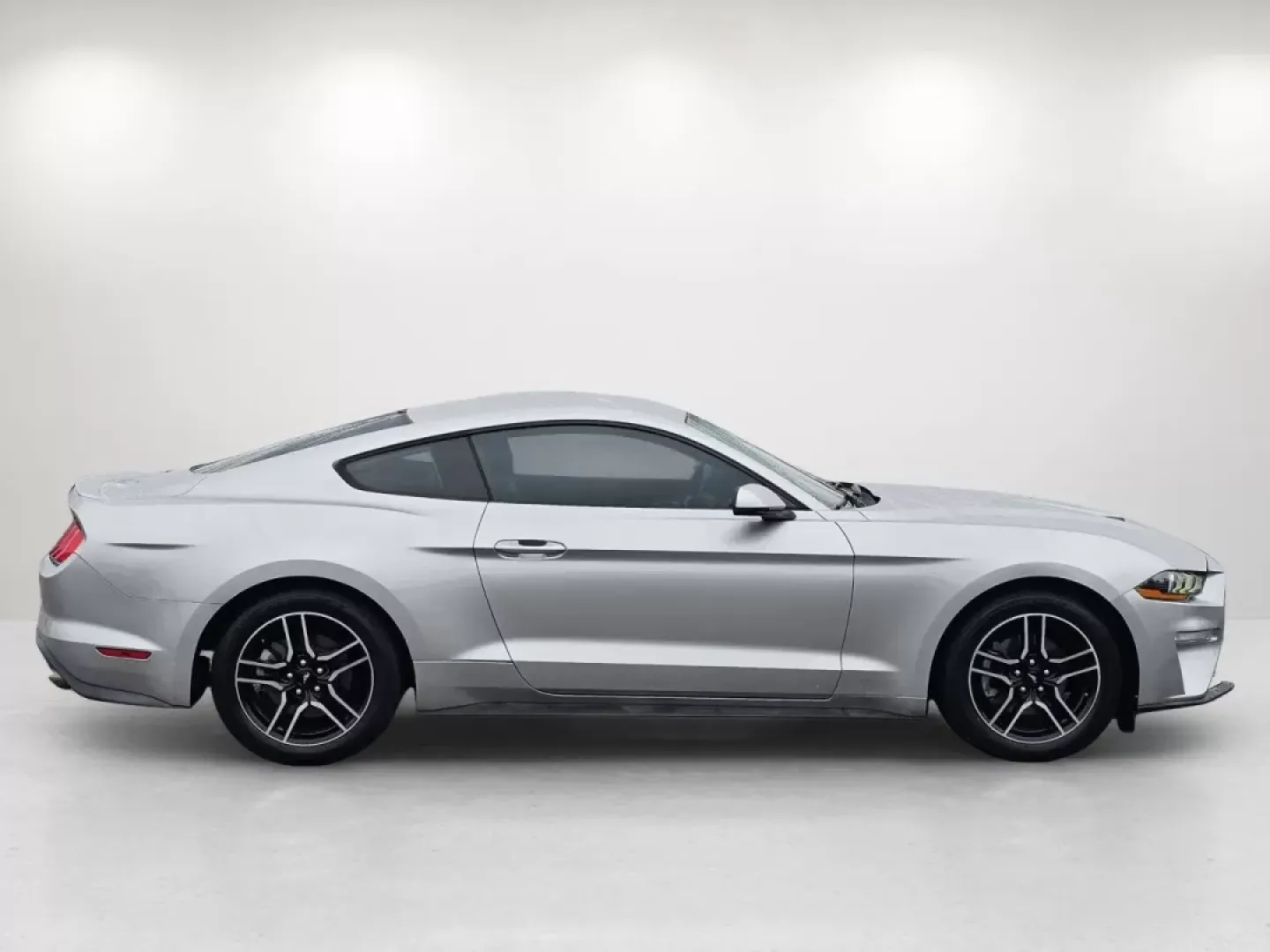 2019 Ford Mustang EcoBoost Premium (1FA6P8TH5K5) with an Other engine, located at 7000 Northlake Connector, Columbus, GA, 31904, (706) 987-8085, 32.524975, -84.978134 - 2019 Ford Mustang EcoBoost Premium - Photo#3